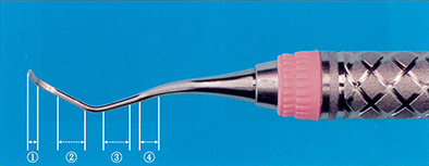 		グレーシータイプキュレットの写真を別に示す。歯肉縁下での操作時に歯根面と平行になるのはどれか。		